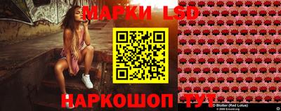 apvp Канаш