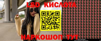 гашик Кандалакша