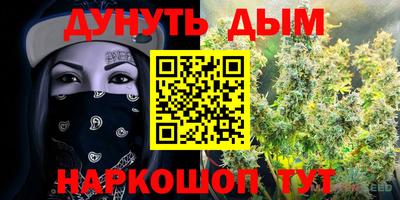 apvp Канаш