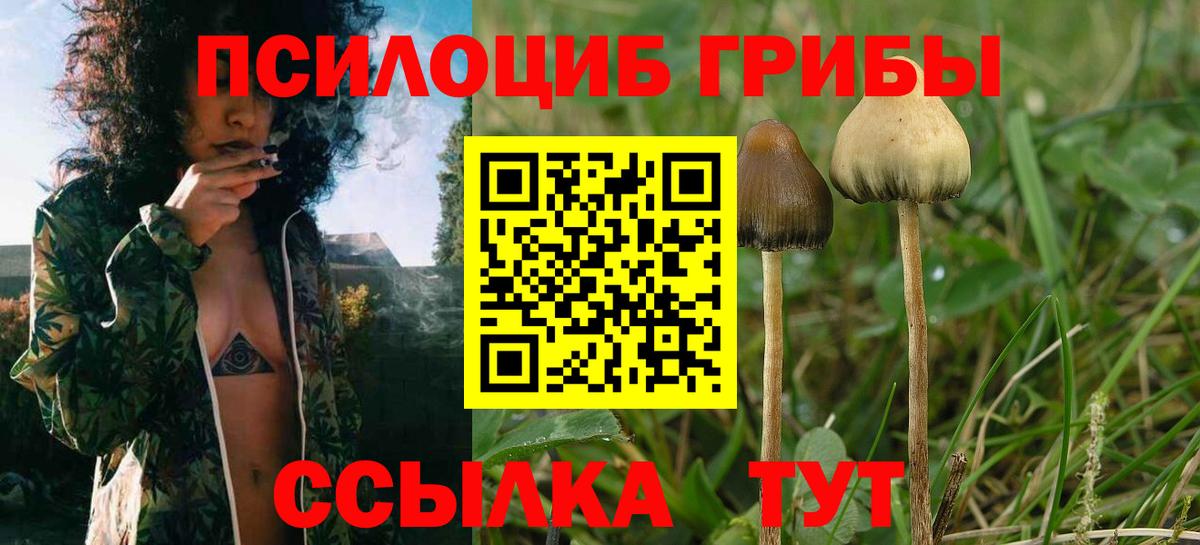 Псилоцибиновые грибы мухоморы Кореновск